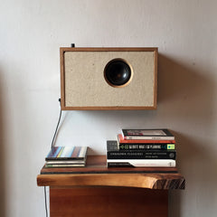 Bluetooth Speaker Building Class