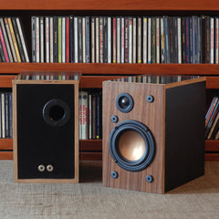 Build Your Own Pair of Speakers