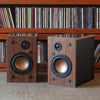 Build Your Own Pair of Speakers