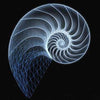 Fibonacci Cutting Board