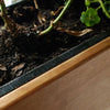 treeHouse Window Planters