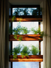 treeHouse Window Planters