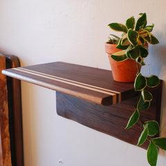 treeHouse Walnut Shelves